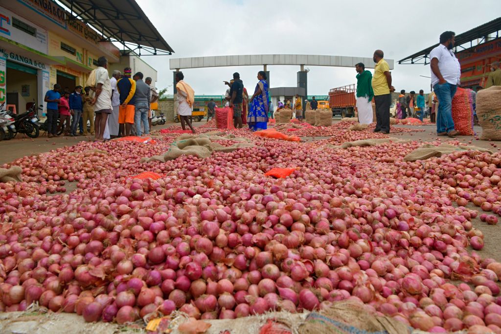 Government's Onion Price Fix Raises Questions as Consumers Feel the Pinch
