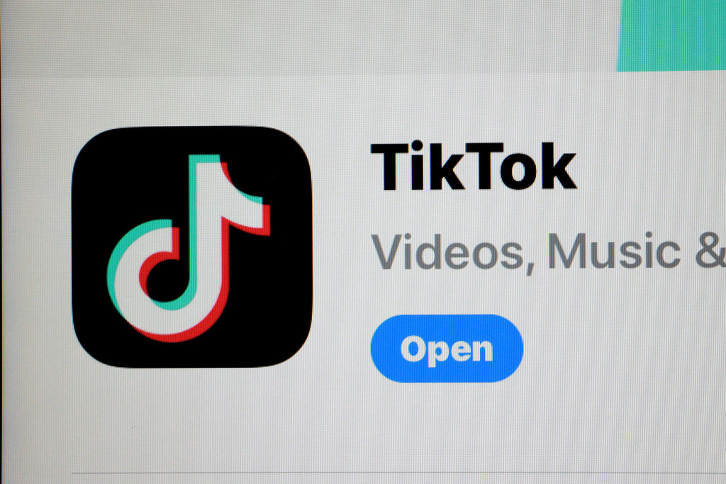 Can Small Businesses Survive Without TikTok?