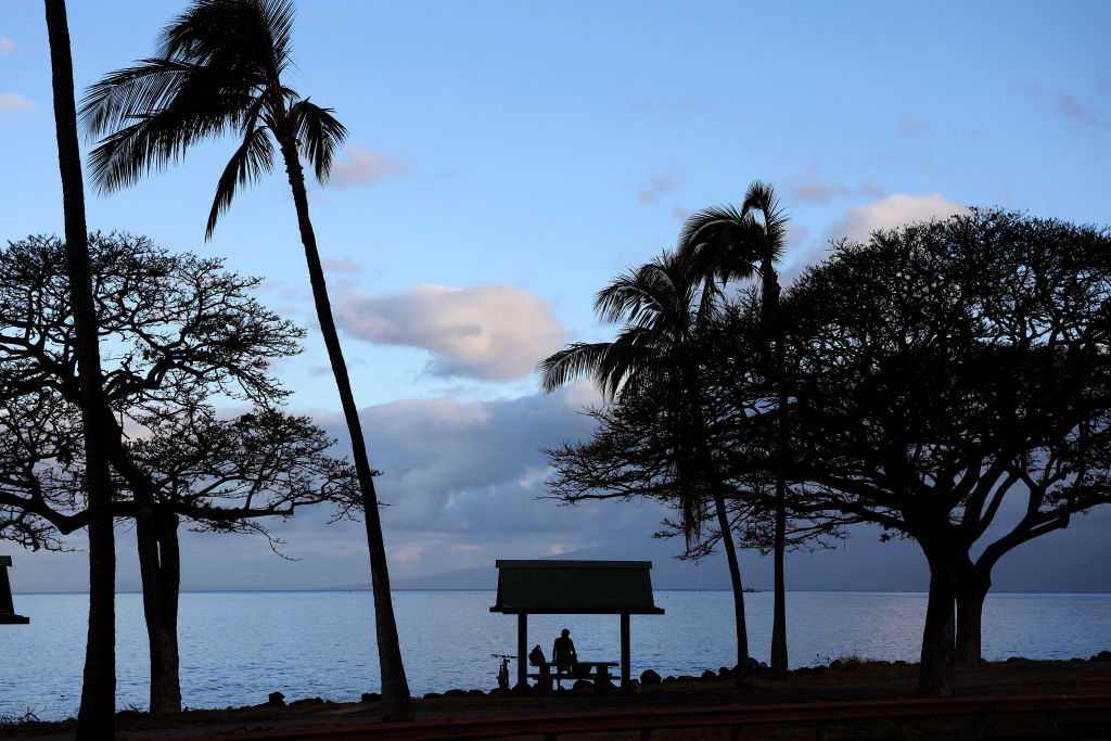 SNAP Benefit Disparities: Hawaii and Alaska Top Payouts, State Economies Impacted"